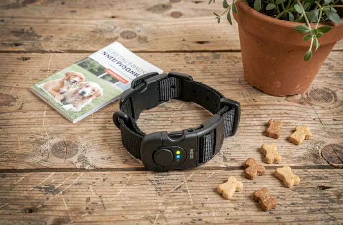 Gros plan d'un collier anti-aboiement posé sur une surface en bois avec un carnet de dressage et des friandises pour chien